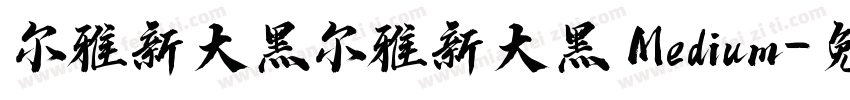 尔雅新大黑尔雅新大黑 Medium字体转换